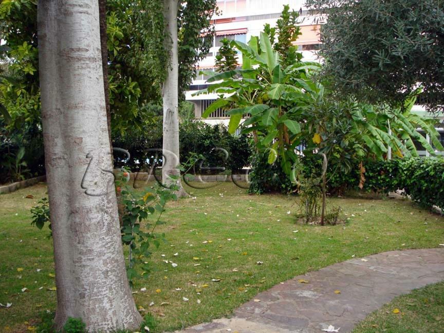 בנידורם Apartamentos Cervantes מראה חיצוני תמונה