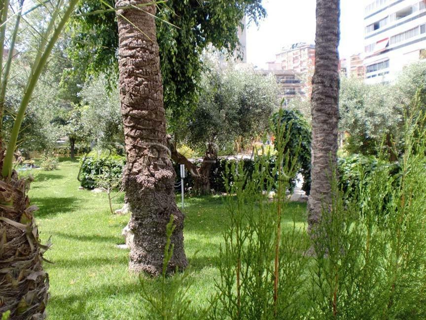 בנידורם Apartamentos Cervantes מראה חיצוני תמונה